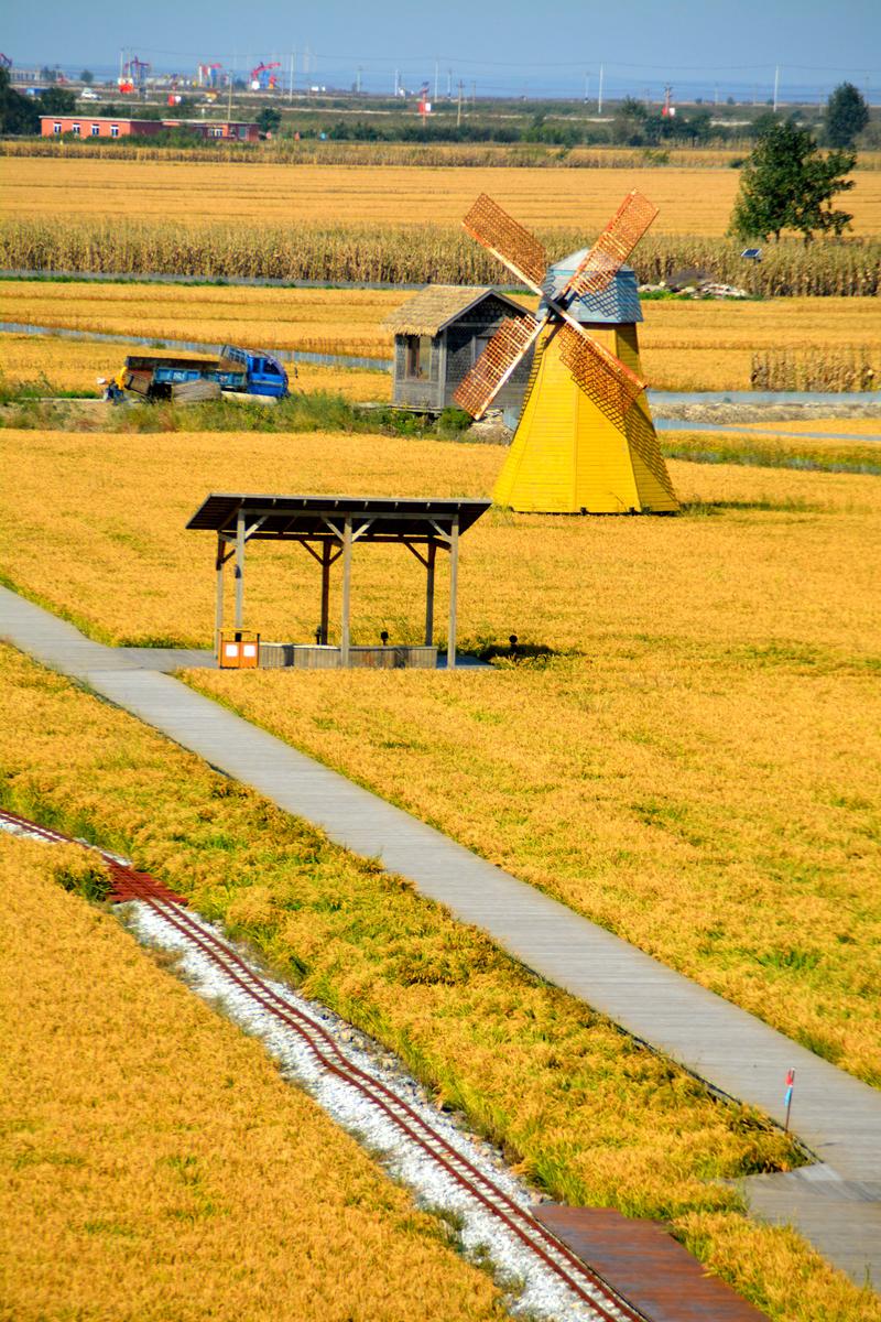 辽宁盘锦在哪个地方,去盘锦旅游哪里好