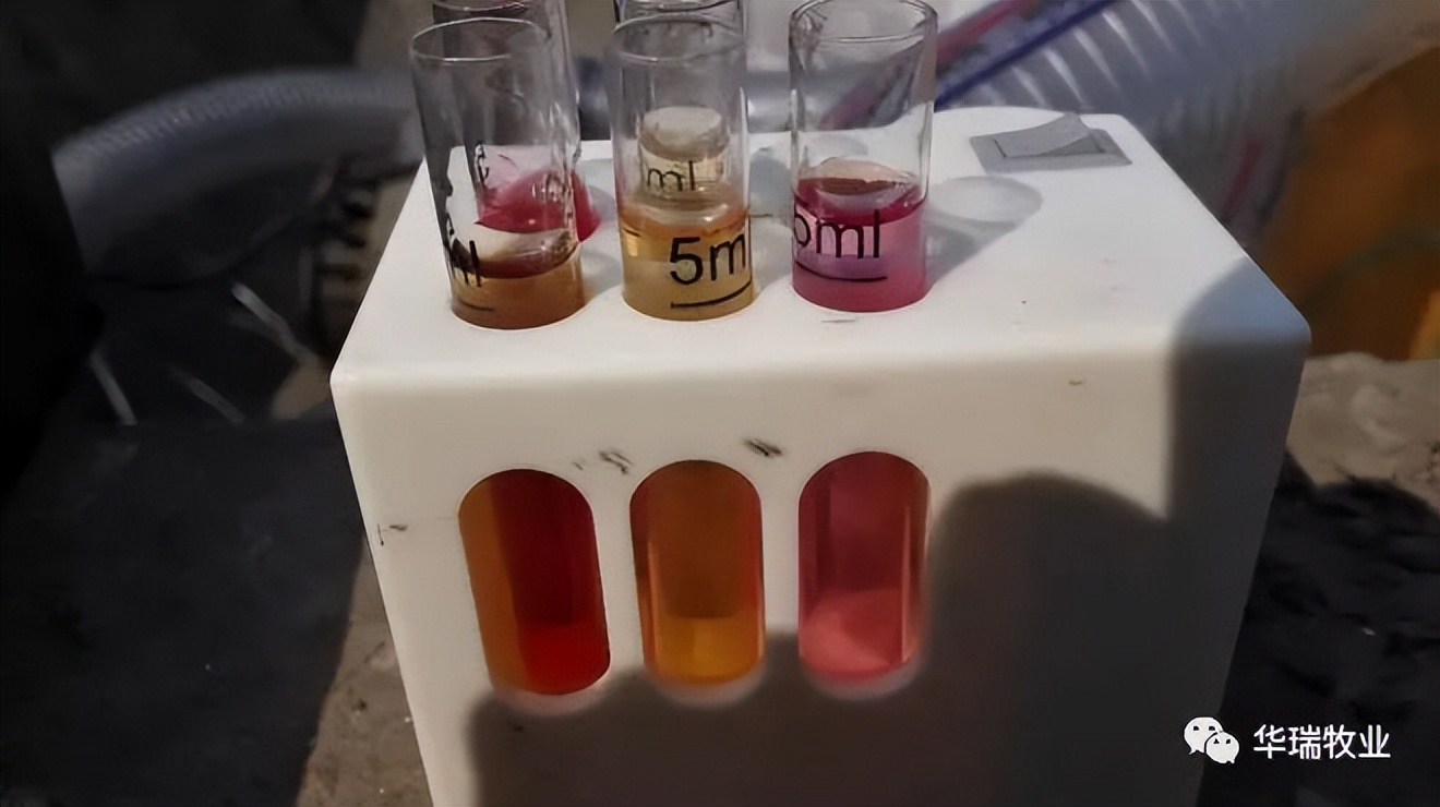 对虾镰刀菌用什么杀菌剂最好,对虾使用有机酸解毒