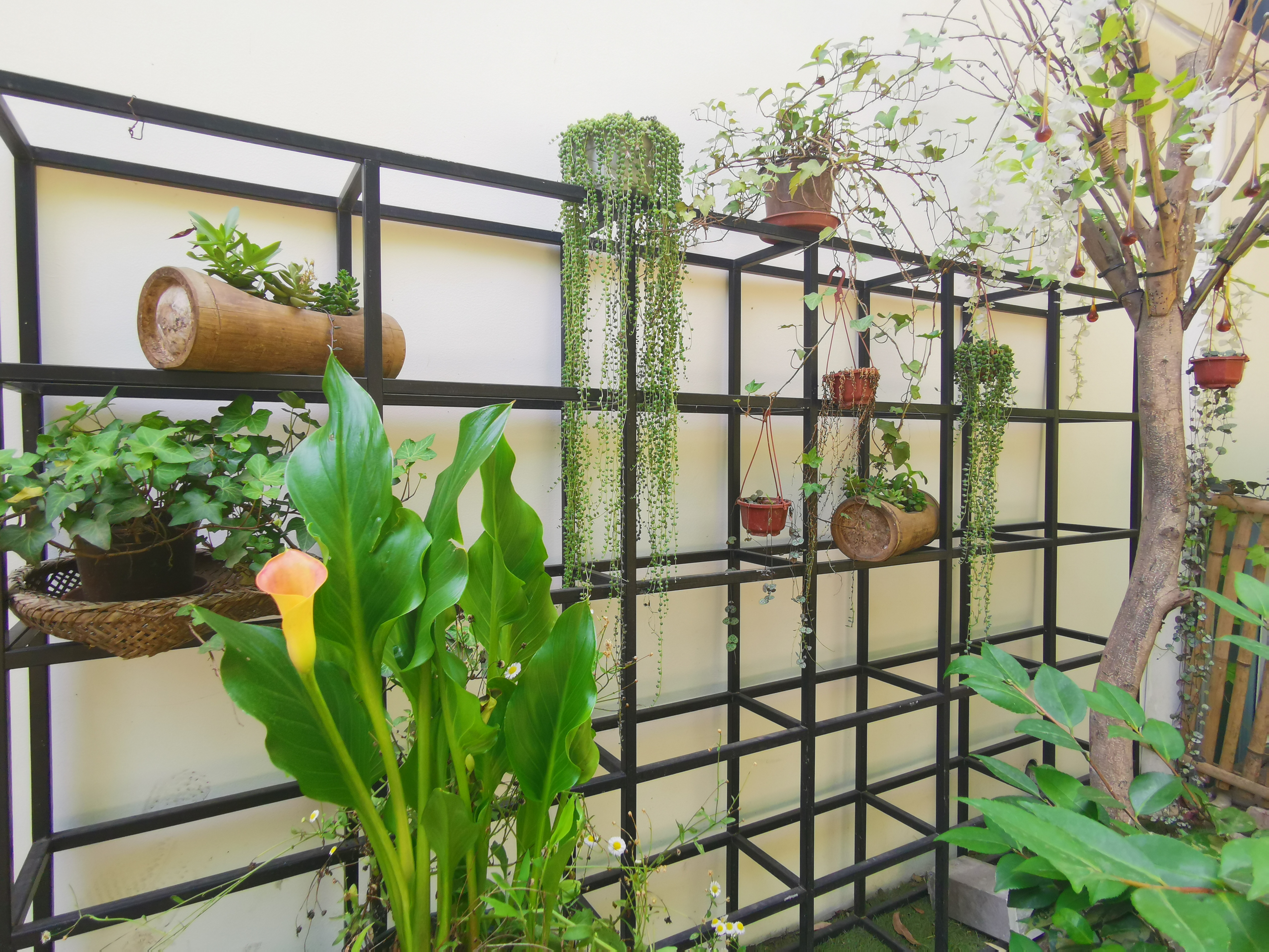 重庆旅游民宿双层,重庆解放碑附近的民宿推荐