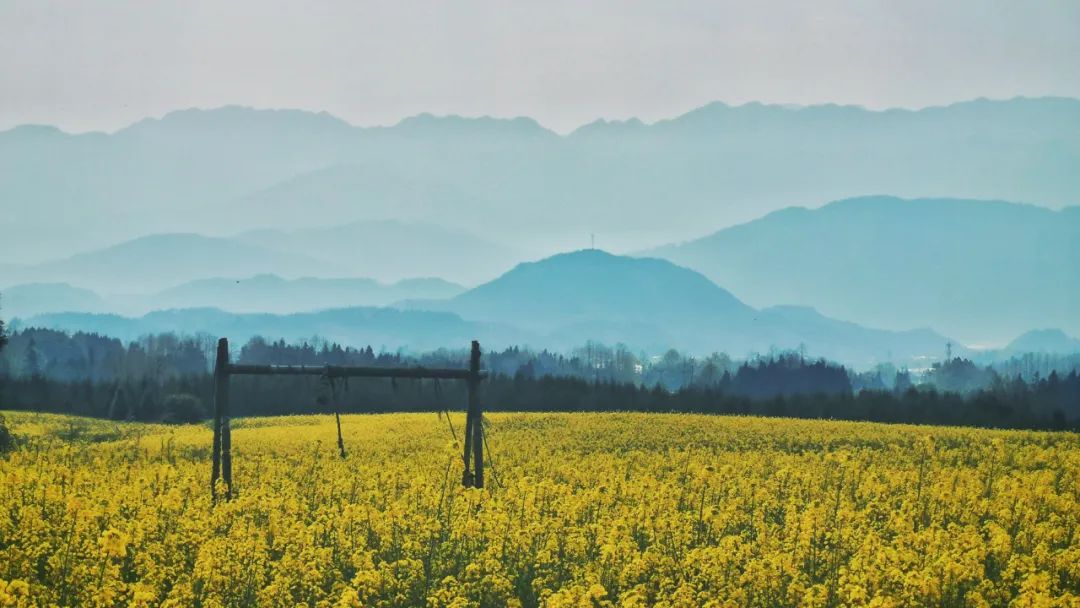 银杏谷泡温泉的地方,广东冬天赏银杏泡温泉