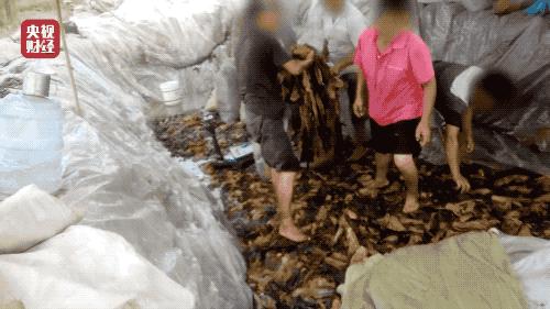 央视揭秘手机wifi泄露信息,免费wifi到底有多危险