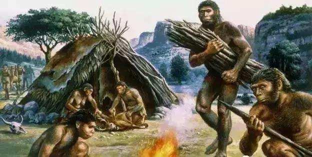 人类进化毛发少的好处,人类毛发进化为什么保留鬓角