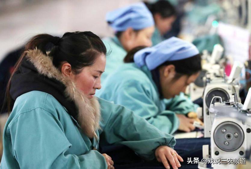 返乡种地到底赚不赚钱,农民挣钱的出路在哪里