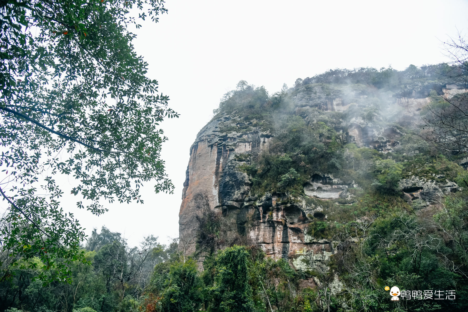 甘露岩寺一根柱子支撑900年,泰宁甘露寺供奉的佛像