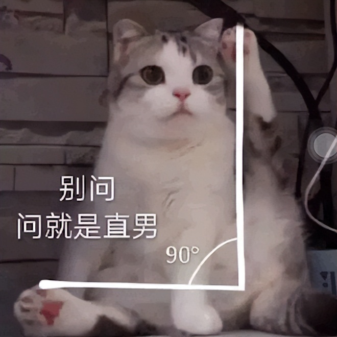 小米civi1s安兔兔跑分,小米civi1s和荣耀60