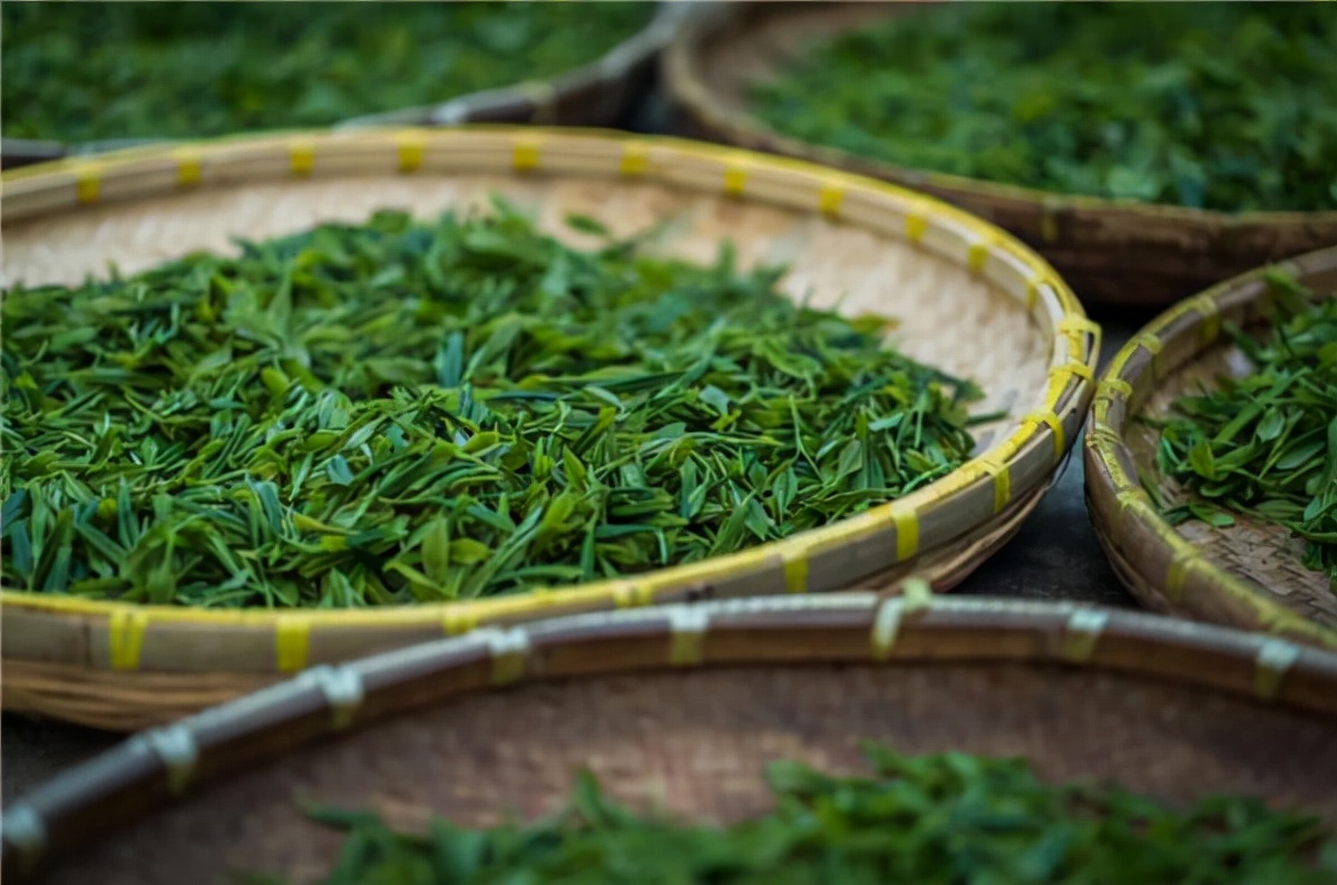 植物染色剂都有哪些,植物黑色染色剂排名