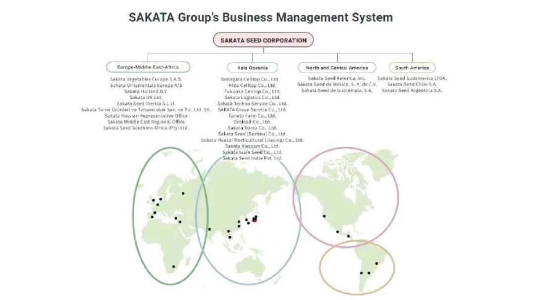 【农科智库原创报告】全球种业重点企业扫描——日本坂田集团