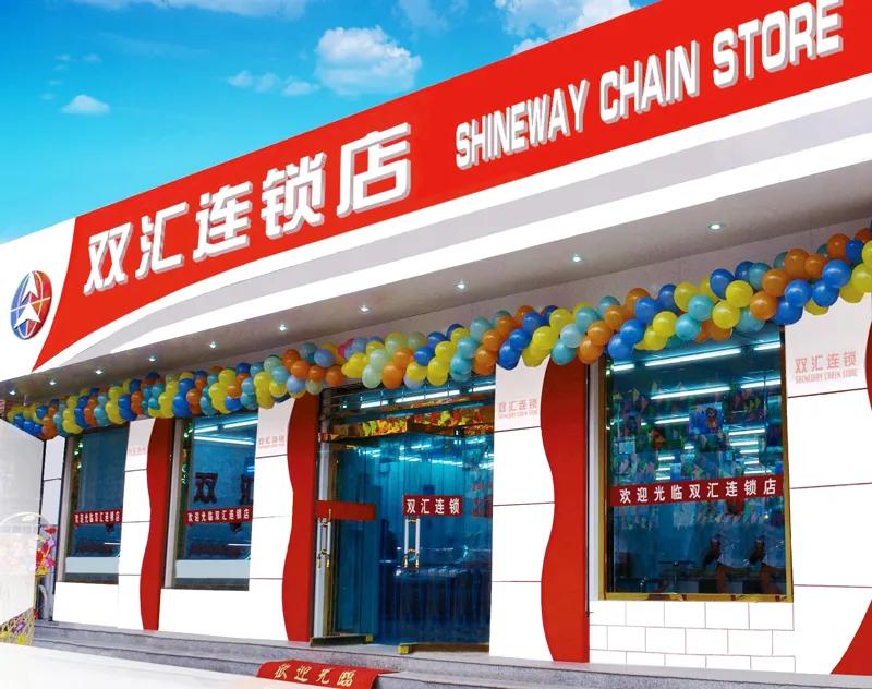 双汇发展深度分析2021,双汇发展2020年报总资产