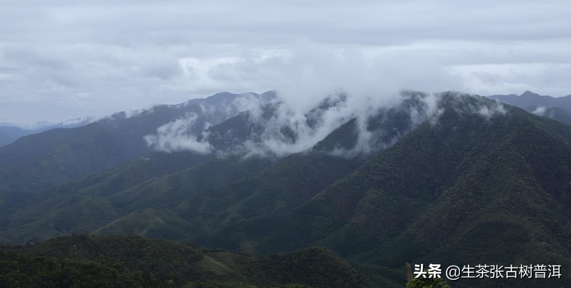 普洱茶名山和二三线山头的区别,普洱茶有名的茶山头有哪些