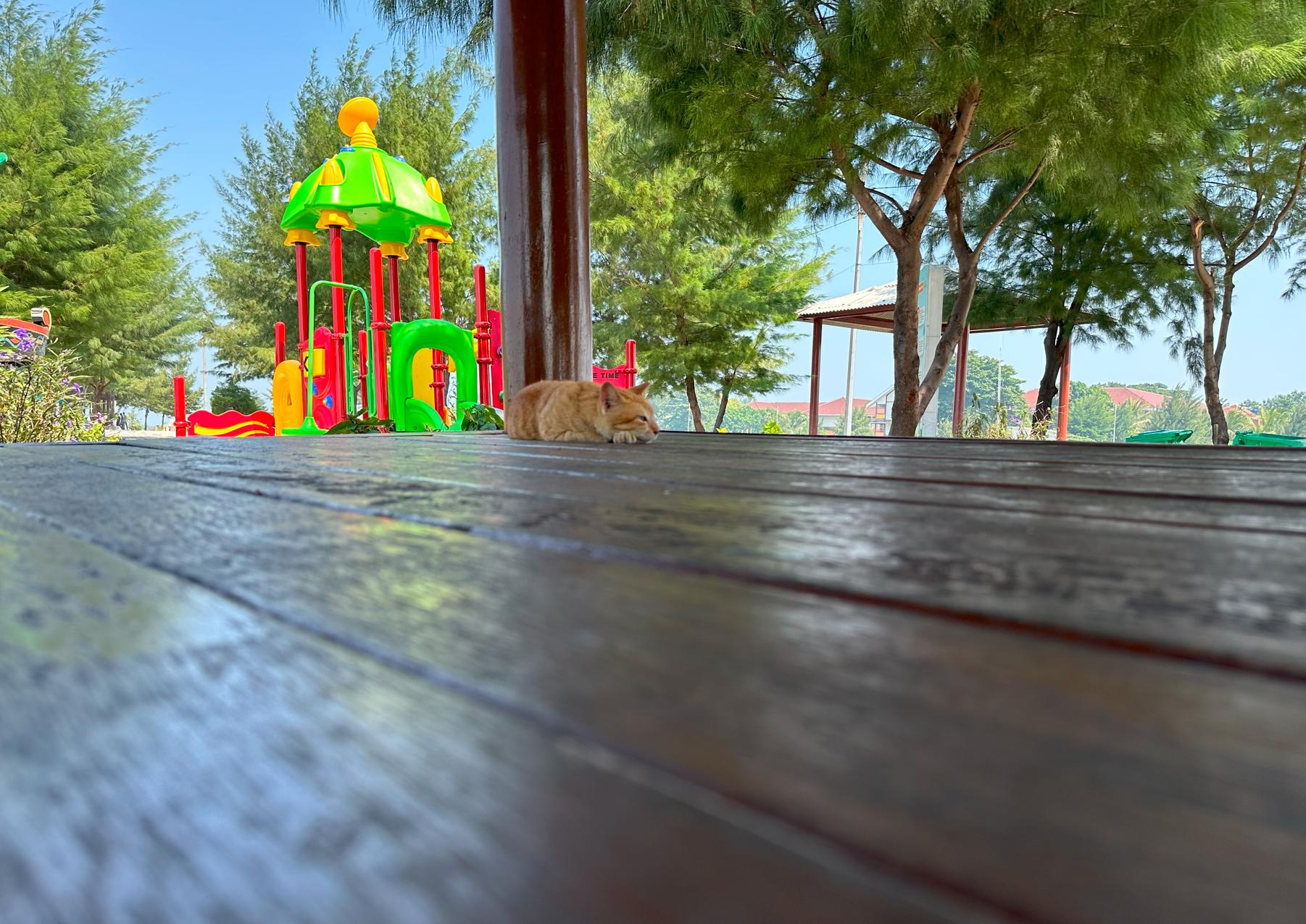 印尼雅加达值得去吗,印尼是世界第几大国家