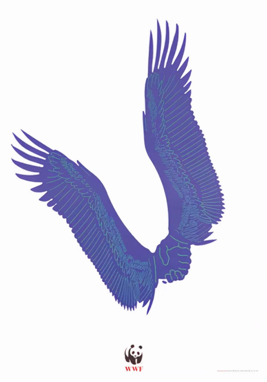 pantone2024年度代表色公布,pantone年度流行色年鉴2024