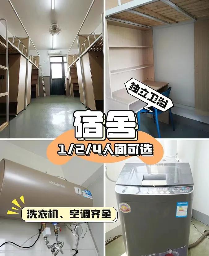 合肥新文道考研半年集训营:6大冷门专业,上岸率高,就业率不差