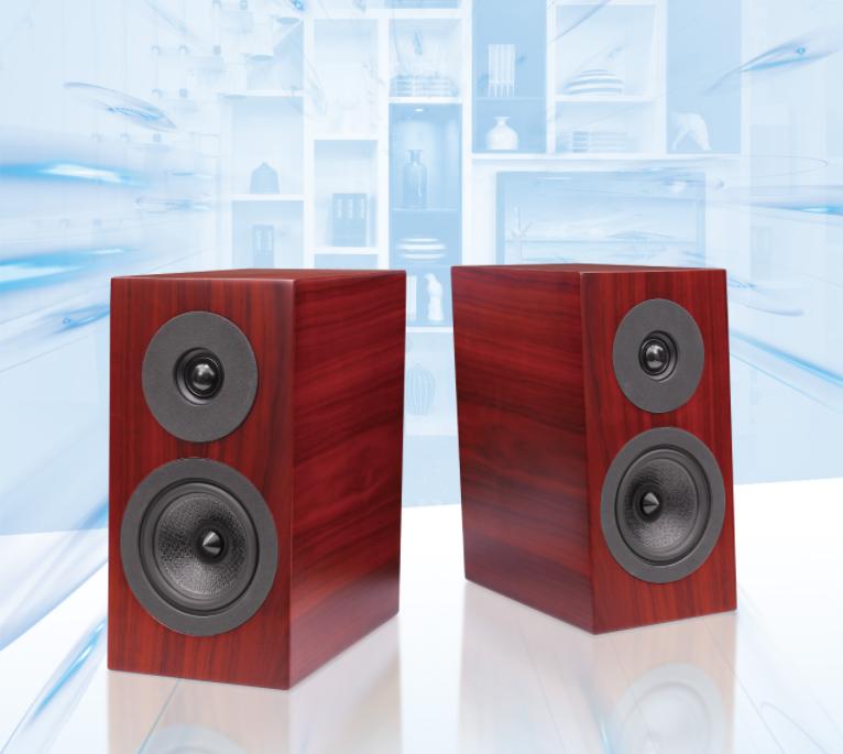 引爆小空间DavisAcousticsCourbetN°3书架式音箱