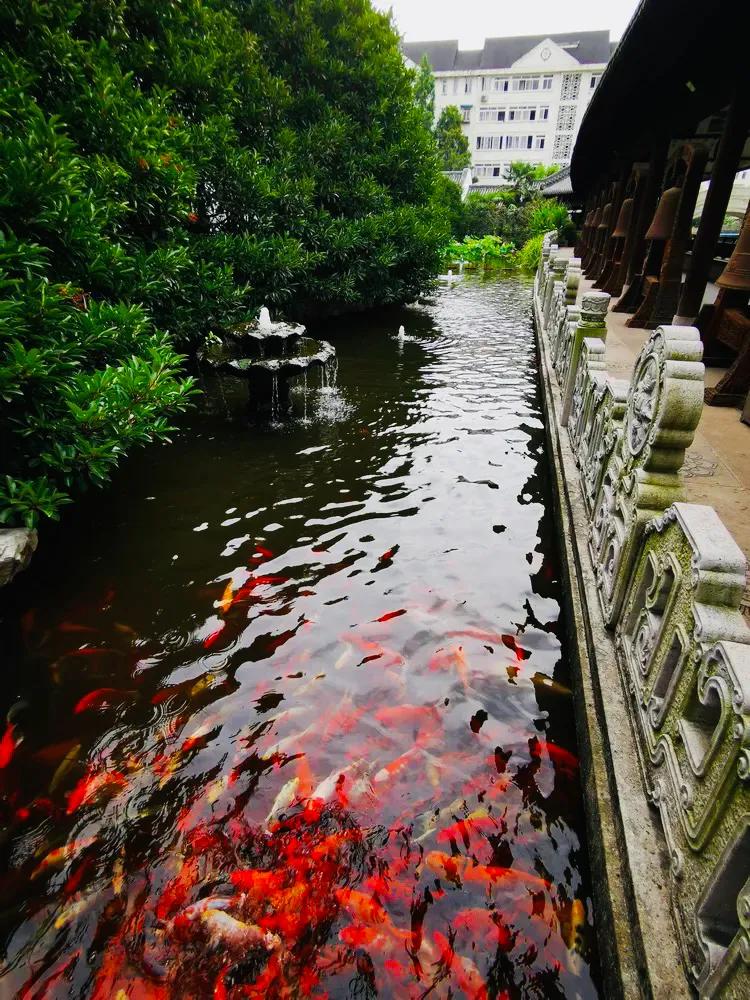 上海真如寺简介,上海真如寺方丈
