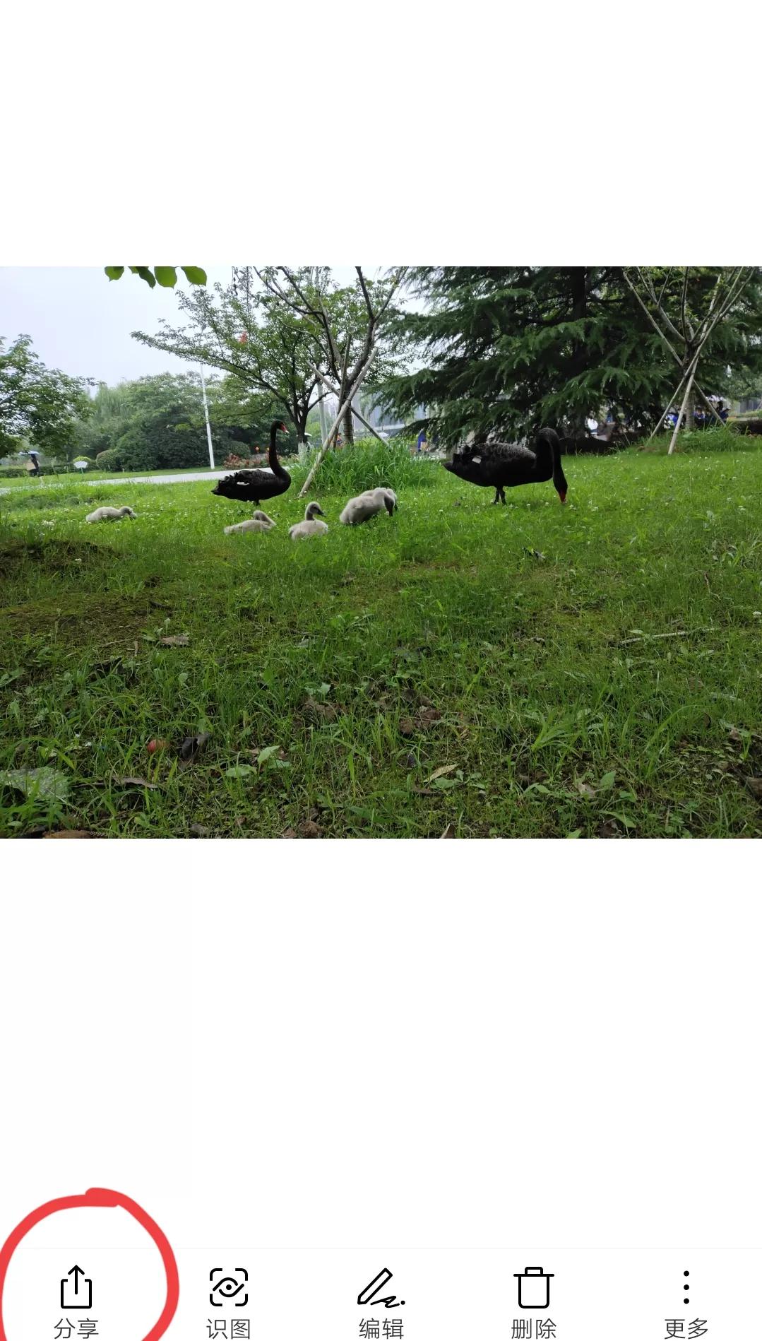 手机蓝牙传输学习机怎么弄,智能手机连接蓝牙耳机教程