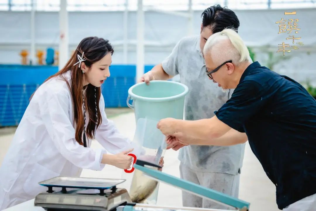 跟着“总台饕餮号”去吴江，尽享文化+美味