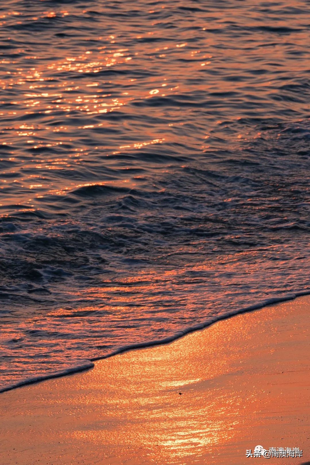 gogogo杭州,南澳岛夏日游