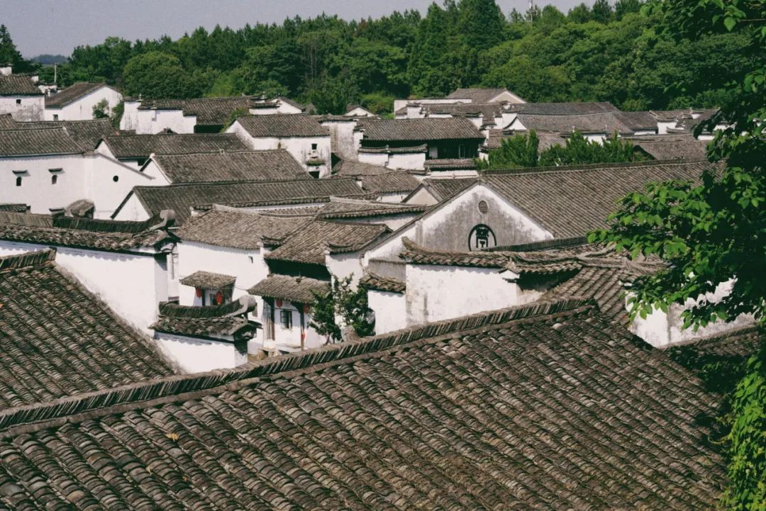 上海的美食真的每一样都很地道,小上海美食推荐