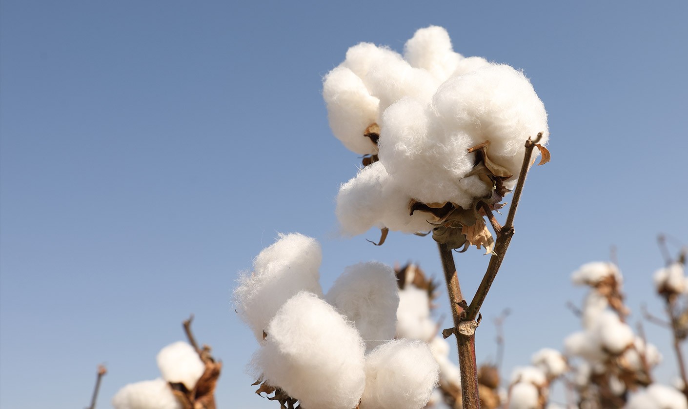 婴儿棉100%全棉,纯棉时代100%全棉产品