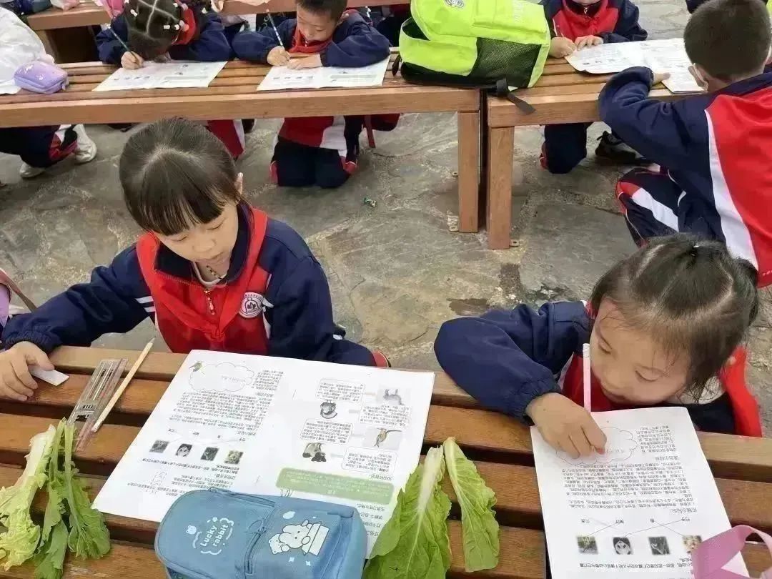 种子乐园游玩攻略,种子乐园2-6岁儿童科普