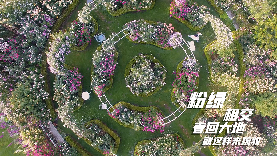 跟着这个旋律，感受有一种叫云南的生活