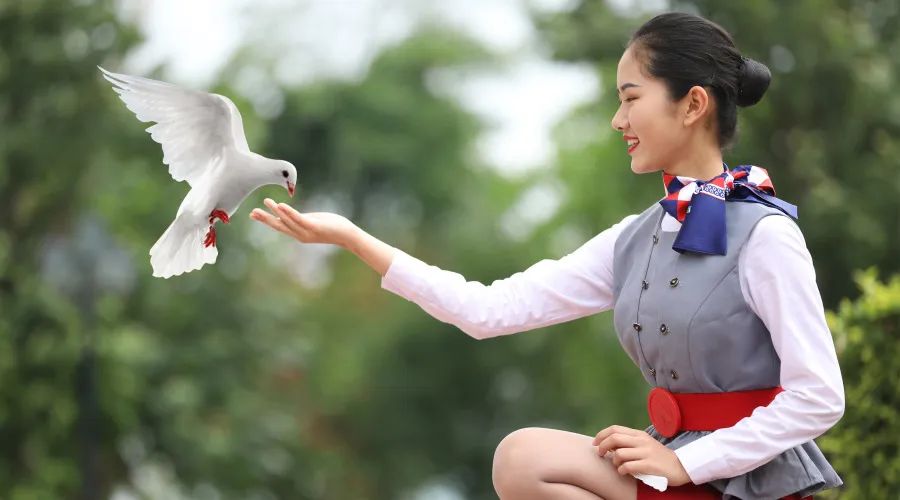 四川西南航空职业学院是什么风格,四川西南航空职业学院校园风采