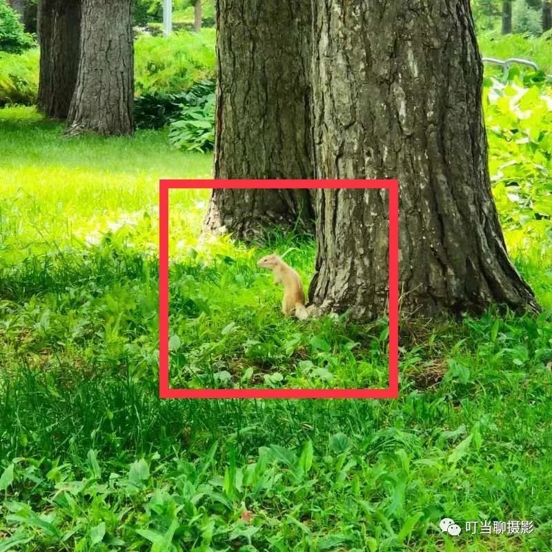 照片拍摄现场分享,说说摄影组照怎么拍摄