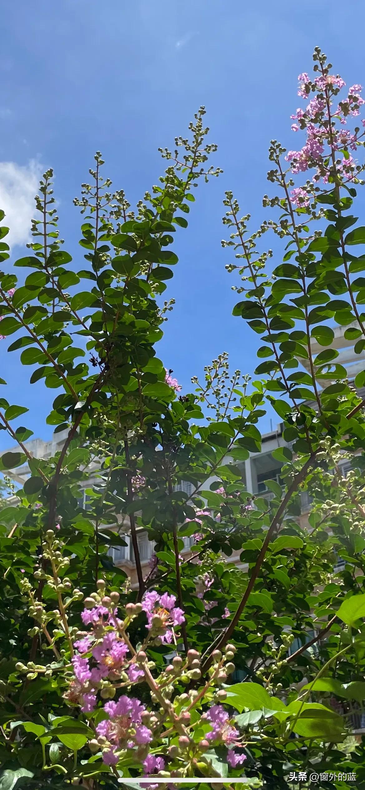 劳动课题开题报告专家评议要点,课题开题论证表专家评议要点