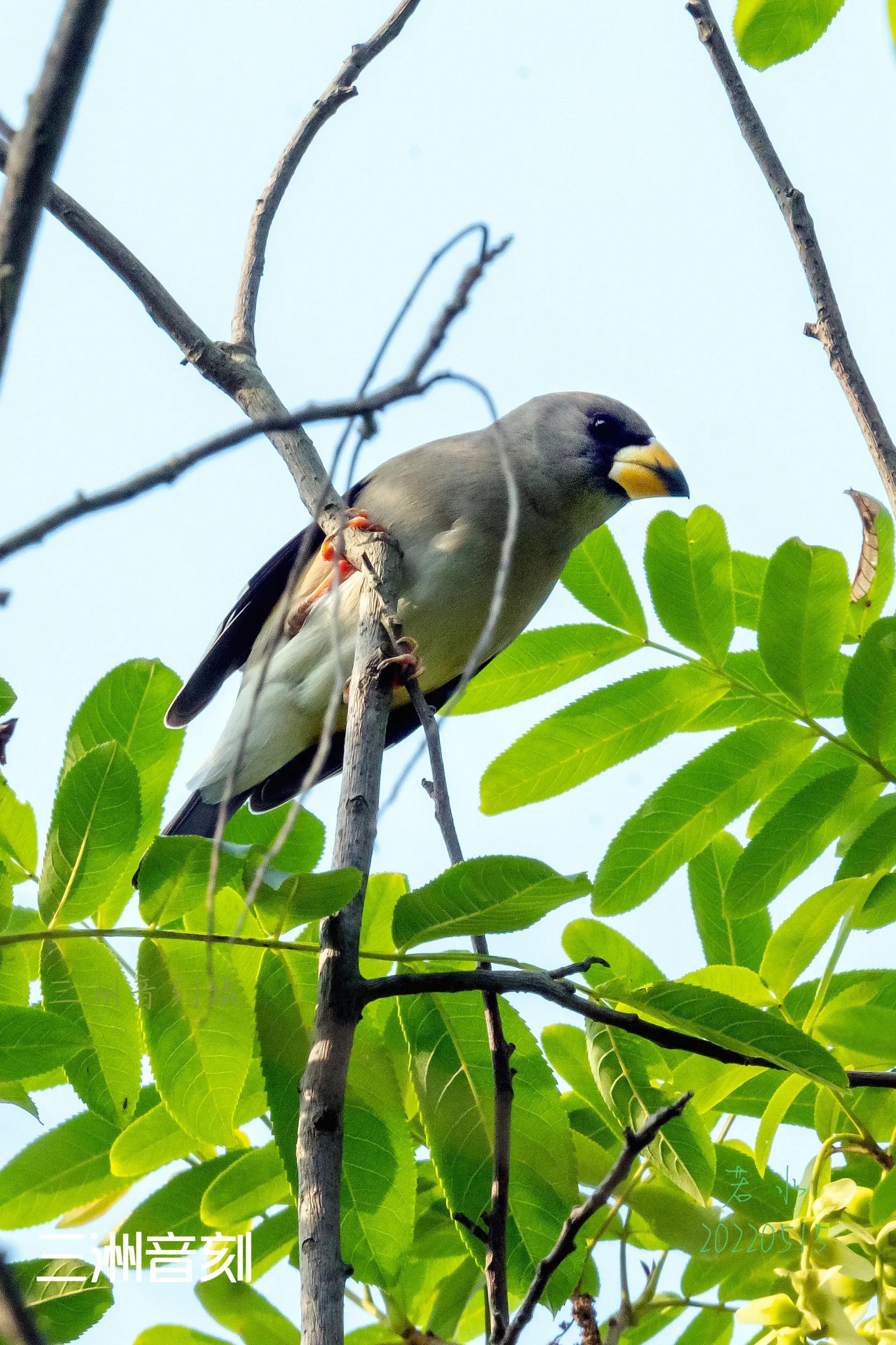上海国际汽车城安亭,上海市嘉定区安亭国际汽车城