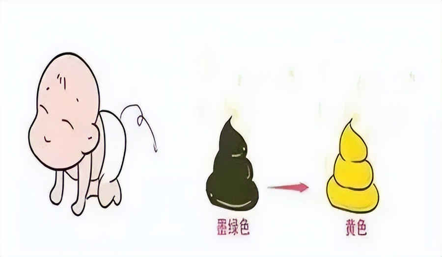 新手爸妈看过来：如何照顾新生宝宝？