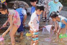 盛夏赴一场荷香之约,与夏天来场清凉的约会