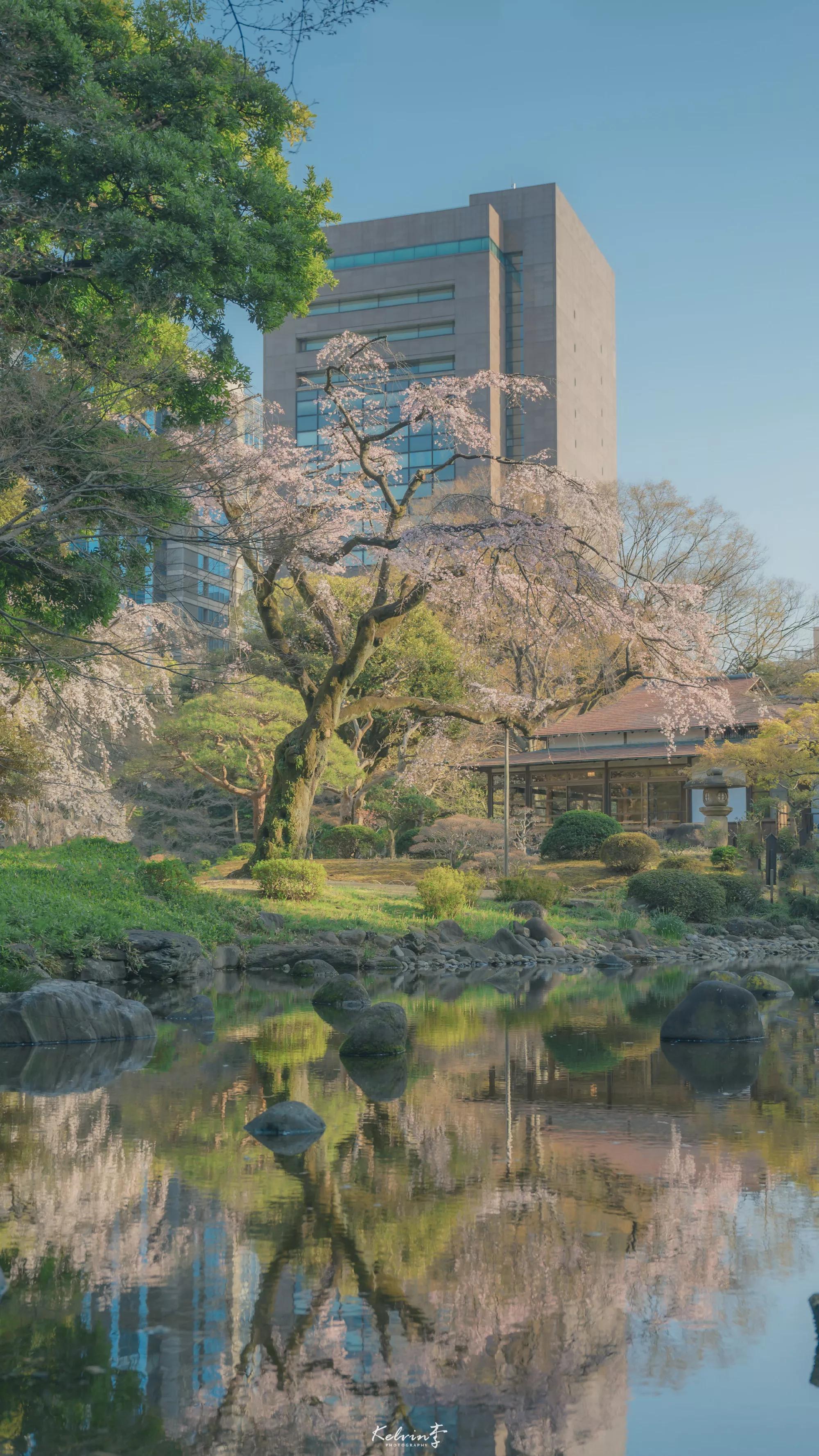 春天清新壁纸图片大全,手机壁纸春天风景超清