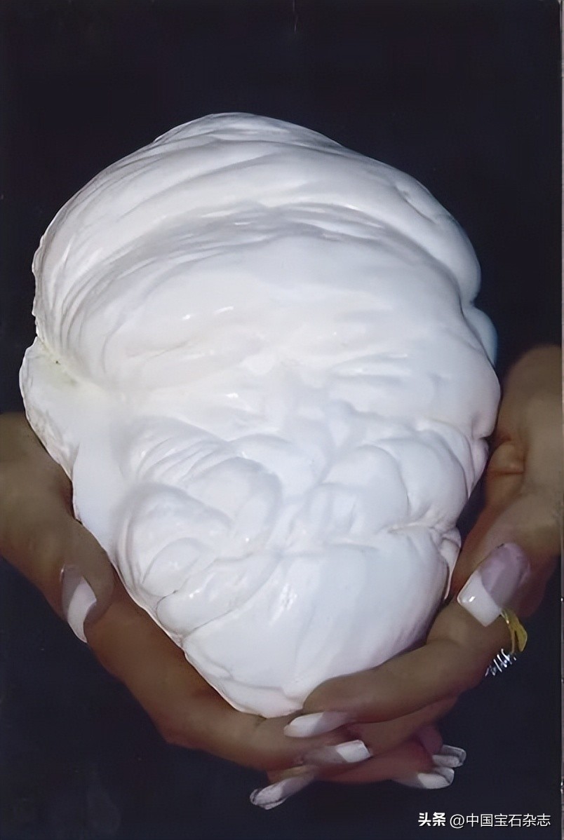 古代珍珠图案大全,中国古代珍珠品种