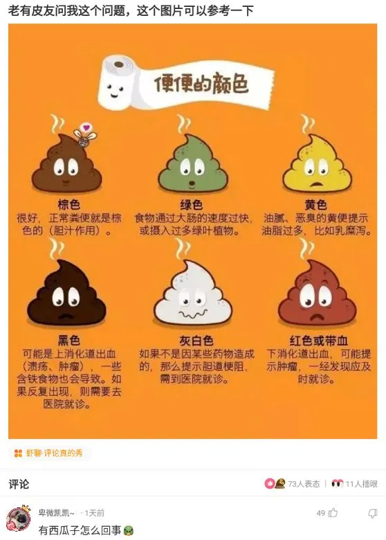 为什么鳄龟长大了背甲会变,鳄龟为什么养的背甲很大