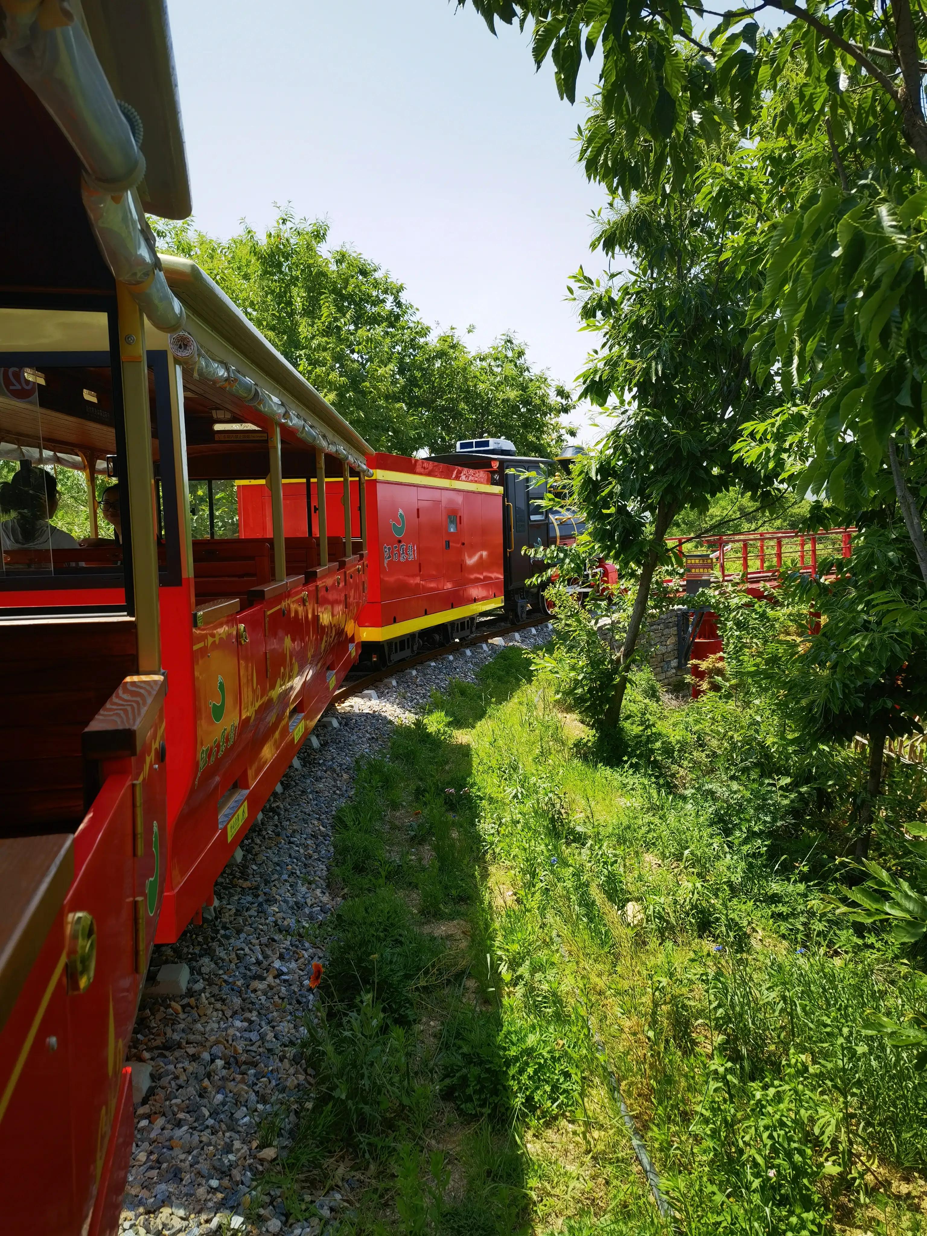 山东自驾游竹林小镇,五一自驾游推荐洞林湖