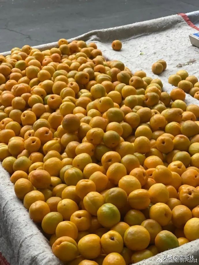 不去莫高窟的理由,一生一定要来一次莫高窟