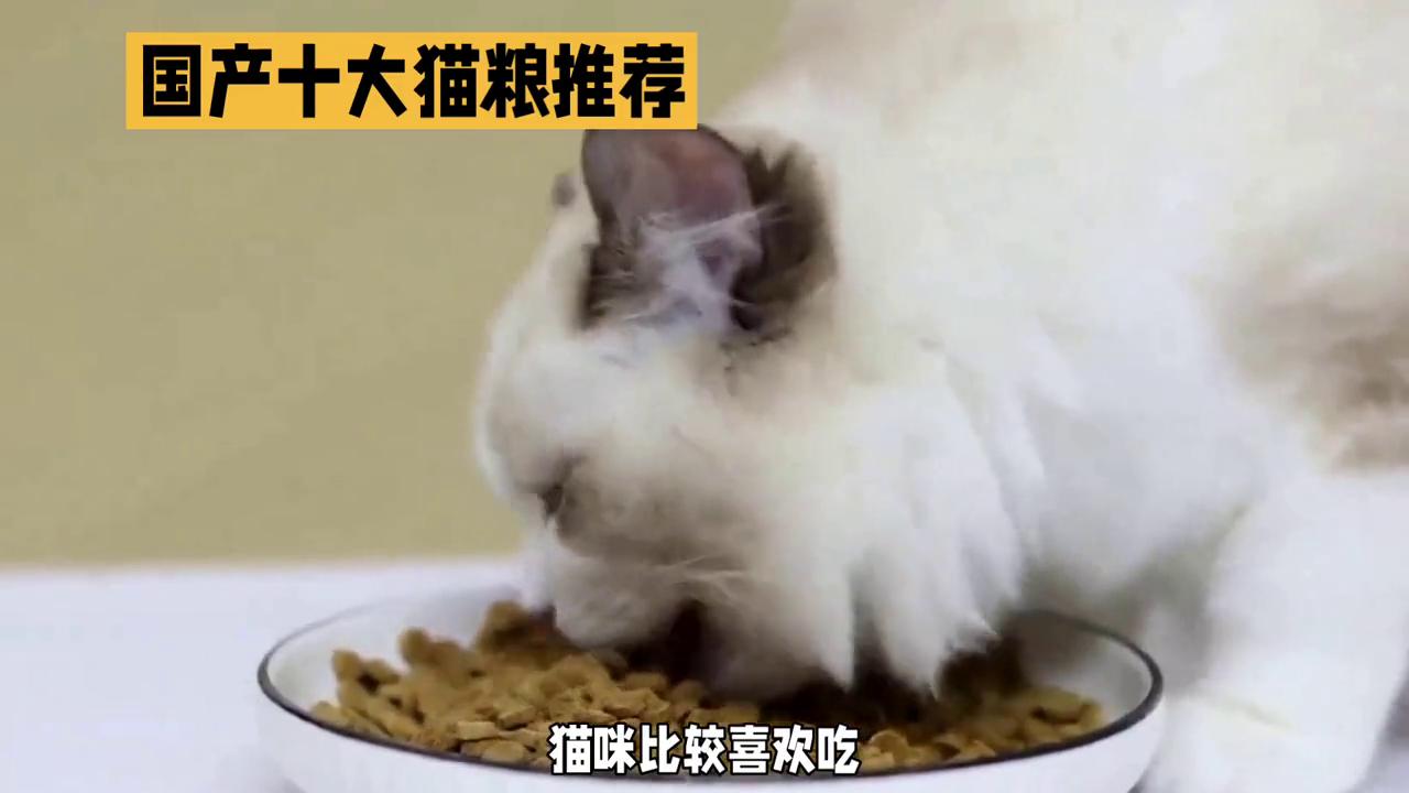 进口猫粮和国产猫粮,国产猫粮好还是进口猫粮好