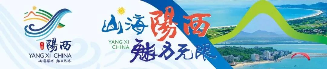 广东阳西发电厂,华夏阳西电厂地址