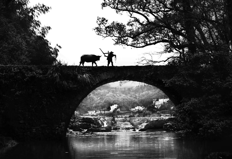 春色满园风景摄影,婺源摄影写真