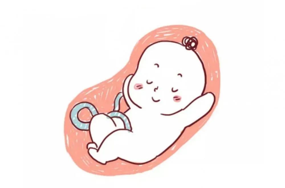 胎儿比较好动是怎么回事,胎儿好不好取决于谁