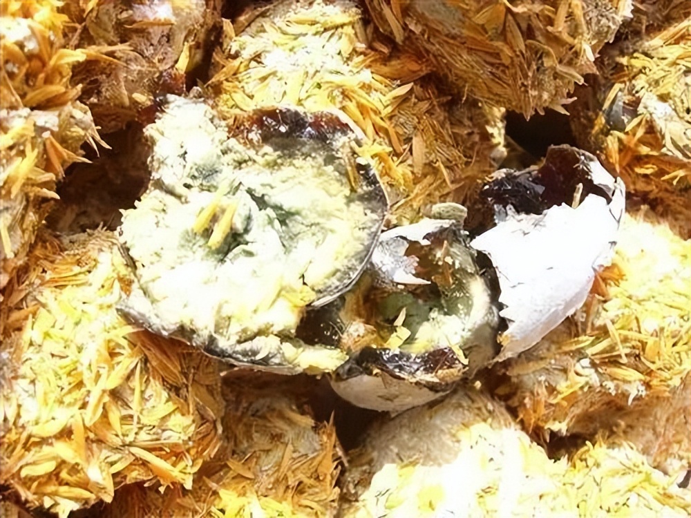 松花蛋内幕,松花蛋的名称怎么来的