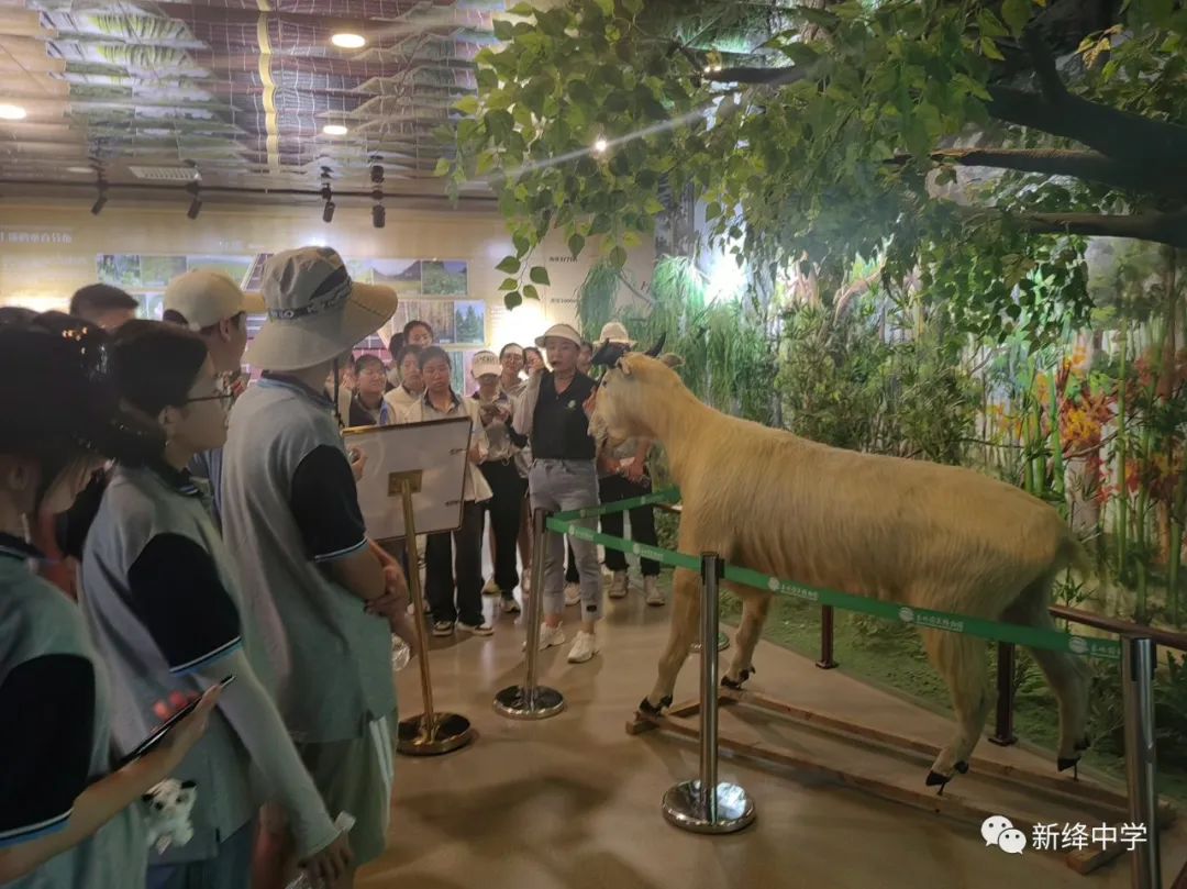 姹傜湡涓娓稿娲诲姩,姹傜湡璺佃