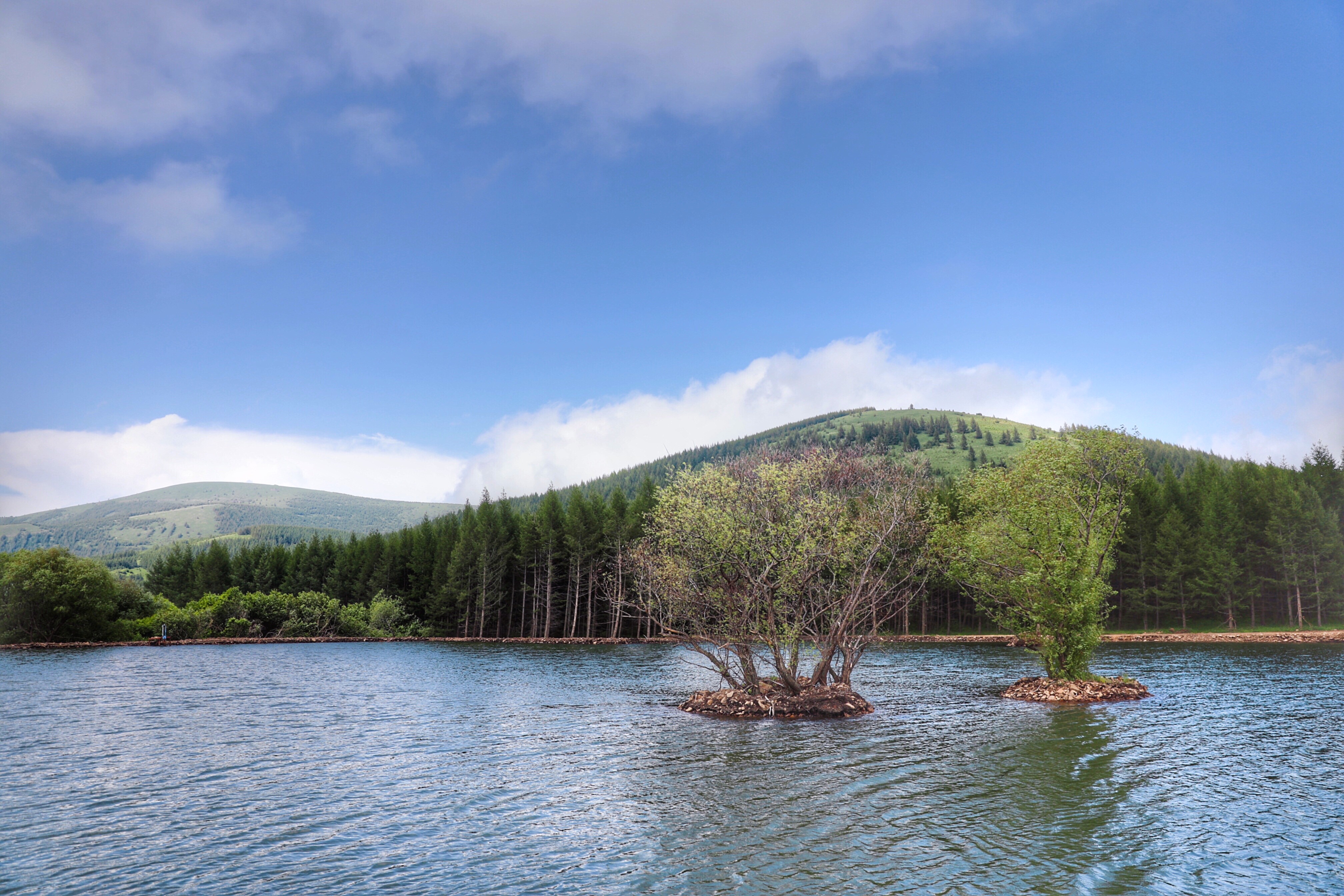 五一假期人从众出游,五一出游人从众何去何从