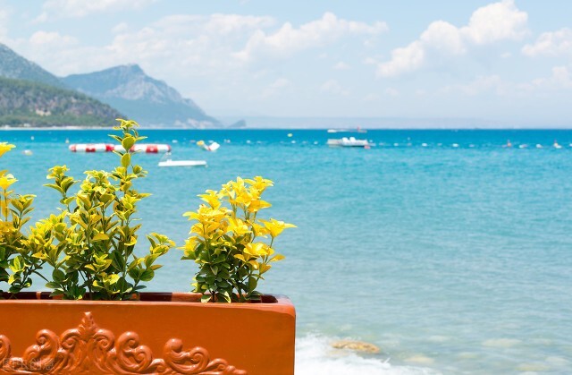 但行好事莫问前程随心所欲,但行好事莫问前程一切皆有定数