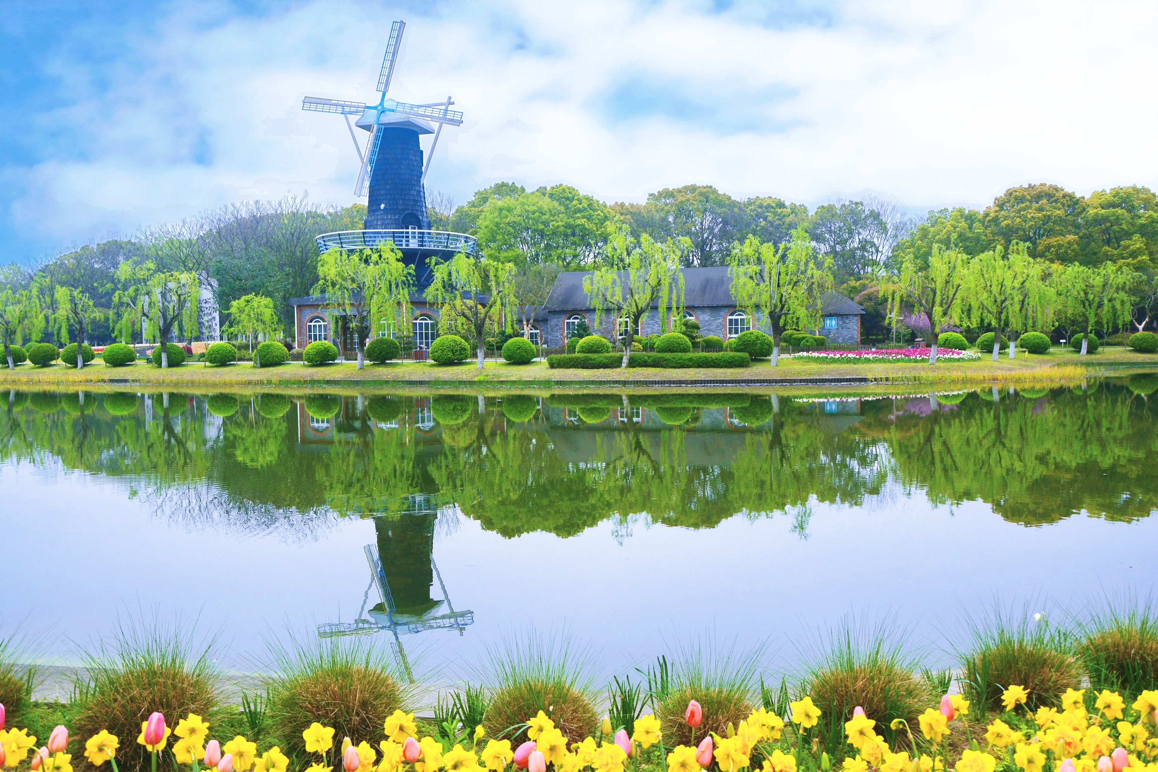 鲜花港郁金香花海,国际鲜花港花海