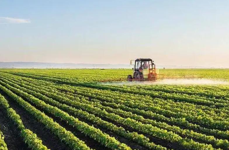 印尼现在有多强大,印尼人口达3亿