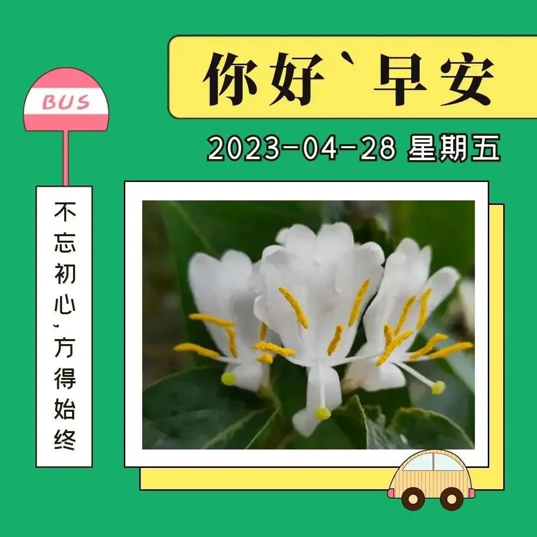 庚子日柱2023年癸卯年运势,癸卯年2023年哪个月出生最好