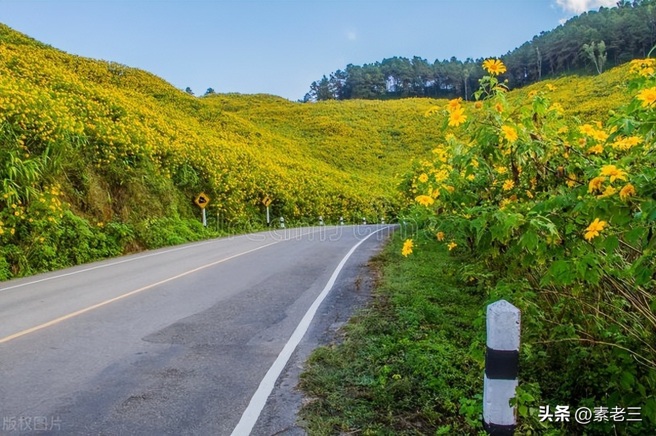 女作家去做保姆最新一期内容,女作家去做保姆520