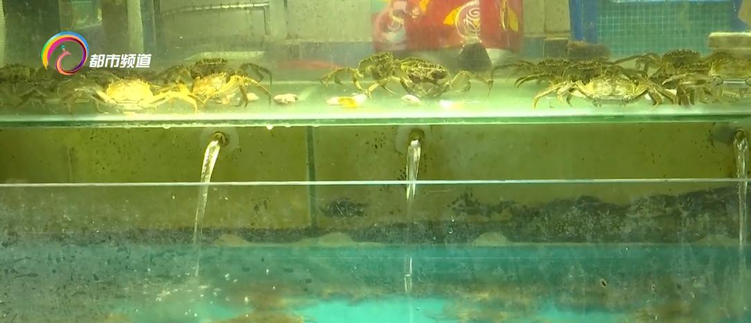 中秋过后大闸蟹价格会便宜吗,中秋过后大闸蟹价格略降