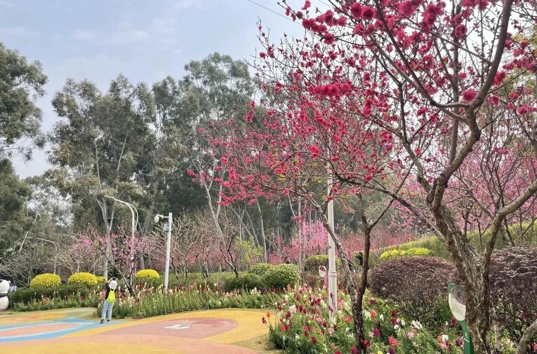 一起乘坐火车去旅游,一起乘坐飞机旅游